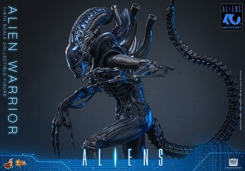 Movie Masterpiece Alien Warrior 2.0 Edition 1/6 - Aliens | Hot Toys Figure