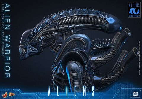 Movie Masterpiece Alien Warrior 2.0 Edition 1/6 - Aliens | Hot Toys Figure