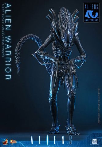Movie Masterpiece Alien Warrior 2.0 Edition 1/6 - Aliens | Hot Toys Figure