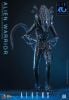 Movie Masterpiece Alien Warrior 2.0 Edition 1/6 - Aliens | Hot Toys Figure