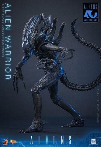 Movie Masterpiece Alien Warrior 2.0 Edition 1/6 - Aliens | Hot Toys Figure