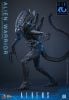 Movie Masterpiece Alien Warrior 2.0 Edition 1/6 - Aliens | Hot Toys Figure