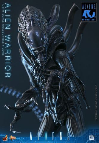 Movie Masterpiece Alien Warrior 2.0 Edition 1/6 - Aliens | Hot Toys Figure