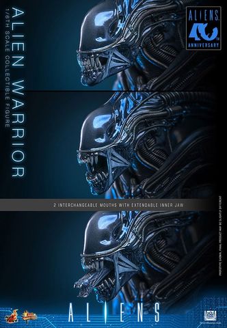 Movie Masterpiece Alien Warrior 2.0 Edition 1/6 - Aliens | Hot Toys Figure
