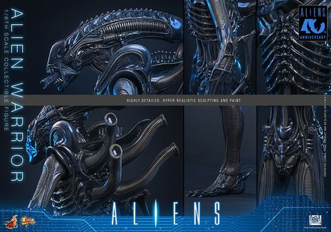 Movie Masterpiece Alien Warrior 2.0 Edition 1/6 - Aliens | Hot Toys Figure