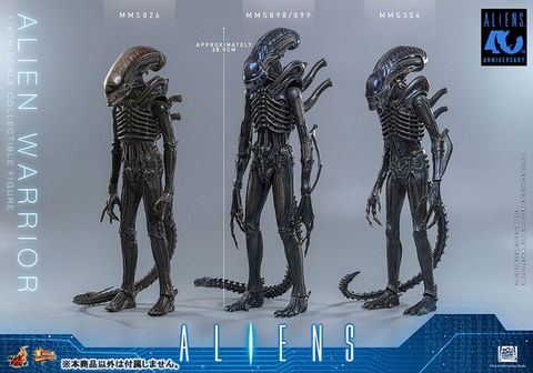 Movie Masterpiece Alien Warrior 2.0 Edition 1/6 - Aliens | Hot Toys Figure