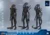 Movie Masterpiece Alien Warrior 2.0 Edition 1/6 - Aliens | Hot Toys Figure