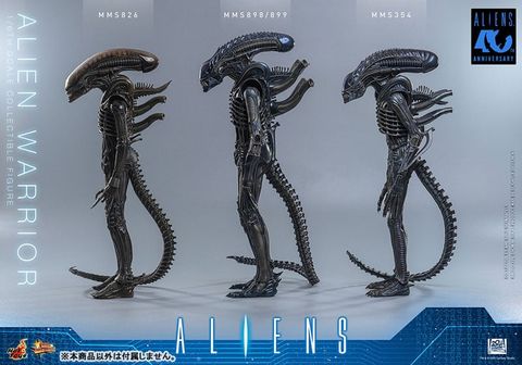 Movie Masterpiece Alien Warrior 2.0 Edition 1/6 - Aliens | Hot Toys Figure