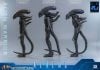 Movie Masterpiece Alien Warrior 2.0 Edition 1/6 - Aliens | Hot Toys Figure