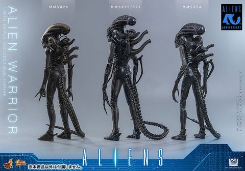 Movie Masterpiece Alien Warrior 2.0 Edition 1/6 - Aliens | Hot Toys Figure