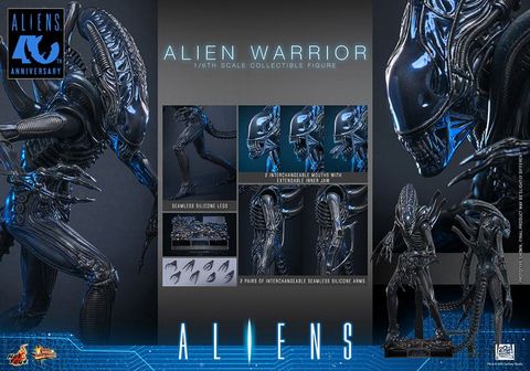 Movie Masterpiece Alien Warrior 2.0 Edition 1/6 - Aliens | Hot Toys Figure