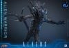 Movie Masterpiece Alien Warrior 2.0 Deluxe Edition 1/6 - Aliens | Hot Toys Figure