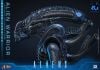 Movie Masterpiece Alien Warrior 2.0 Deluxe Edition 1/6 - Aliens | Hot Toys Figure