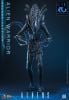 Movie Masterpiece Alien Warrior 2.0 Deluxe Edition 1/6 - Aliens | Hot Toys Figure