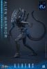 Movie Masterpiece Alien Warrior 2.0 Deluxe Edition 1/6 - Aliens | Hot Toys Figure