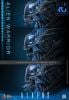 Movie Masterpiece Alien Warrior 2.0 Deluxe Edition 1/6 - Aliens | Hot Toys Figure