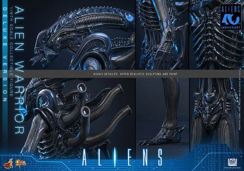 Movie Masterpiece Alien Warrior 2.0 Deluxe Edition 1/6 - Aliens | Hot Toys Figure