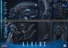 Movie Masterpiece Alien Warrior 2.0 Deluxe Edition 1/6 - Aliens | Hot Toys Figure