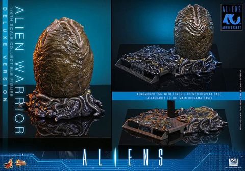 Movie Masterpiece Alien Warrior 2.0 Deluxe Edition 1/6 - Aliens | Hot Toys Figure