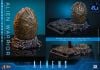 Movie Masterpiece Alien Warrior 2.0 Deluxe Edition 1/6 - Aliens | Hot Toys Figure