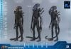 Movie Masterpiece Alien Warrior 2.0 Deluxe Edition 1/6 - Aliens | Hot Toys Figure