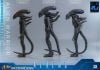 Movie Masterpiece Alien Warrior 2.0 Deluxe Edition 1/6 - Aliens | Hot Toys Figure