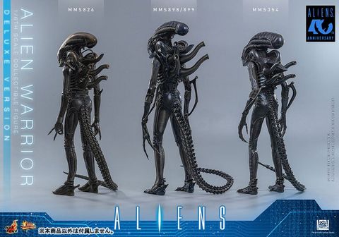Movie Masterpiece Alien Warrior 2.0 Deluxe Edition 1/6 - Aliens | Hot Toys Figure