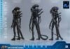 Movie Masterpiece Alien Warrior 2.0 Deluxe Edition 1/6 - Aliens | Hot Toys Figure