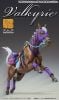 Super Action Statue Valkyrie - JoJo s Bizarre Adventure Part VII Steel Ball Run | Medicos Entertainment Action Figure