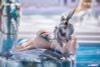 Shining Cocktail Vodka Mirror 1/6 | Animester Figure