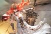 Augusta 1/7 - Wuthering Waves | Hobby sakura Figure