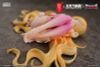 Ling Xin Star Guardian Soul of the planet 1/7 - BeautyWorks | Snail Shell Figure