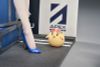 St. Louis Race Queen Ver. 1/7 - Azur Lane | APEX Figure