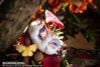 Autumn Arrives Illustrated by Tokiwata Deluxe Edition 1/1 - Original | EUSUN Figure