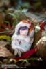 Autumn Arrives Illustrated by Tokiwata Deluxe Edition 1/1 - Original | EUSUN Figure