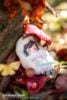Autumn Arrives Illustrated by Tokiwata Deluxe Edition 1/1 - Original | EUSUN Figure