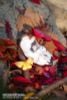 Autumn Arrives Illustrated by Tokiwata Deluxe Edition 1/1 - Original | EUSUN Figure
