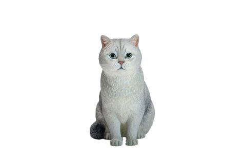British Shorthair A | JXK Studio Figure