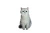 British Shorthair A | JXK Studio Figure
