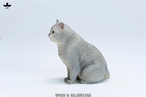 British Shorthair A | JXK Studio Figure