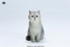 British Shorthair A | JXK Studio Figure