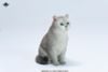 British Shorthair A | JXK Studio Figure