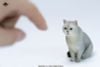 British Shorthair A | JXK Studio Figure