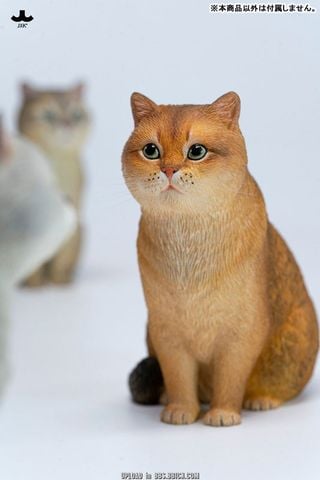 British Shorthair B | JXK Studio Figure