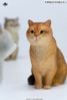 British Shorthair B | JXK Studio Figure