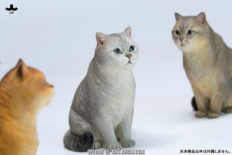 British Shorthair B | JXK Studio Figure
