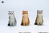 British Shorthair B | JXK Studio Figure