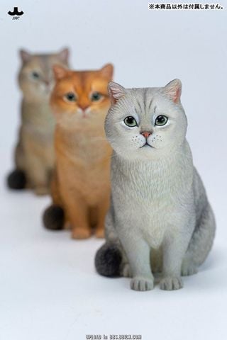 British Shorthair B | JXK Studio Figure