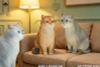 British Shorthair B | JXK Studio Figure