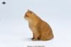 British Shorthair B | JXK Studio Figure